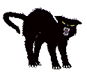 blackcat.gif