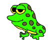 frog2.gif