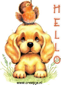 hellopuppybird.gif
