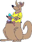 kangaroo_family.gif
