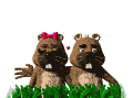 love_md_whtgophers.gif