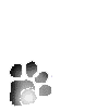 paw.gif