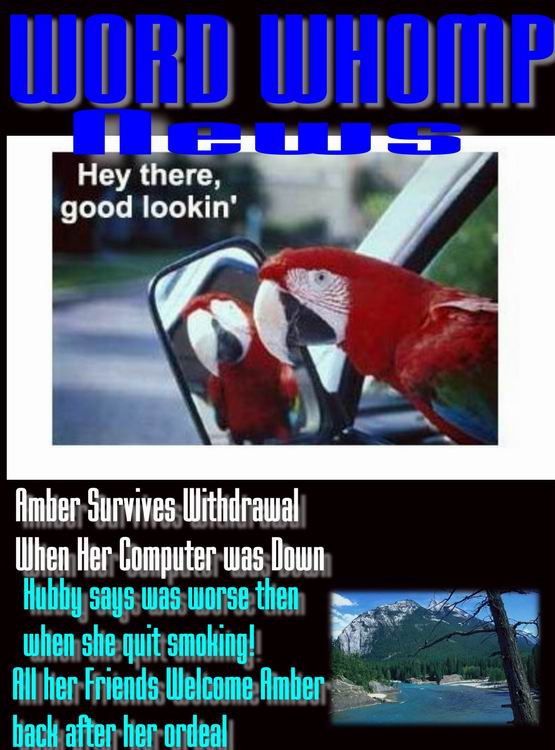 resizeofambermag.jpg