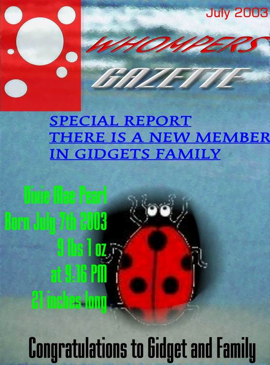 resizeofgidgetmag.jpg