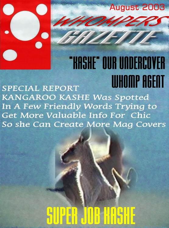 resizeofkashemag.jpg