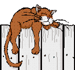 tomcatonfence.gif