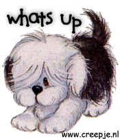 whatsuppuppy.gif